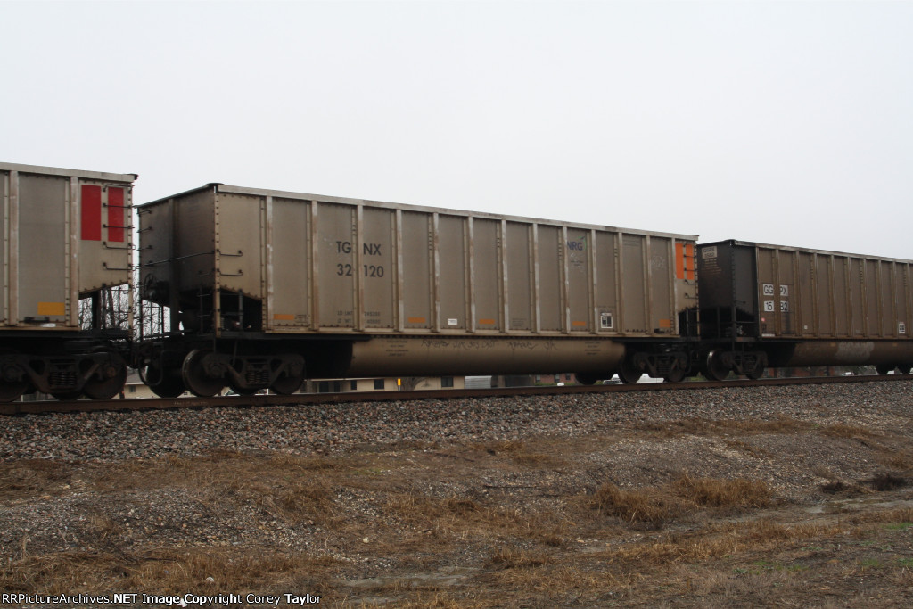 TGNX 32120